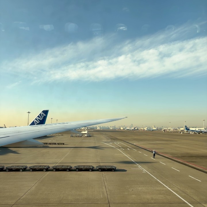 芽来里(めぐり)