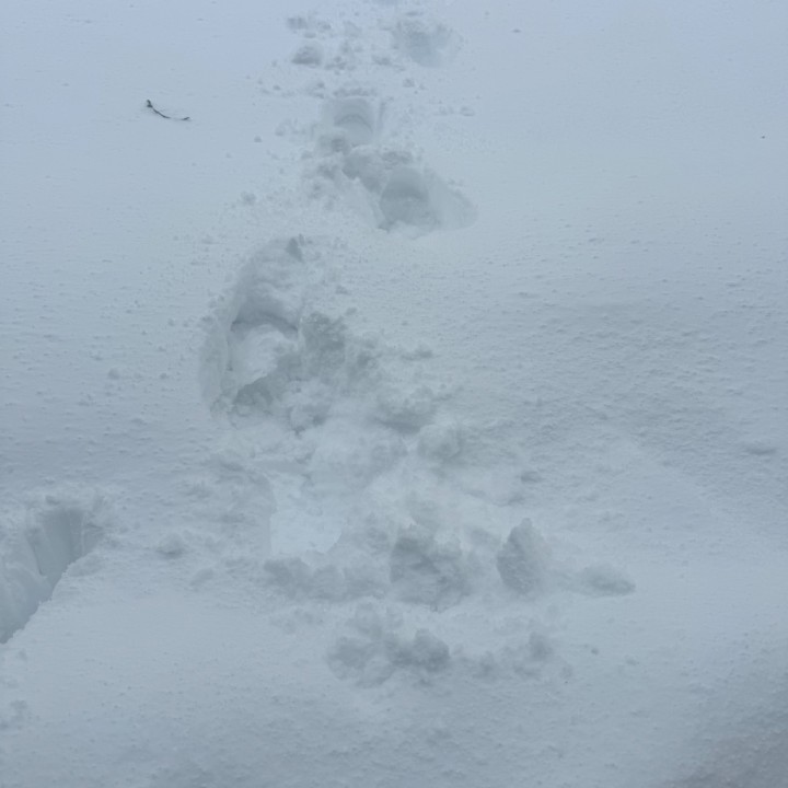 瑠美子(るみこ)