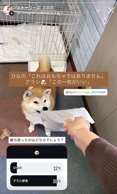雛乃(ひなの)