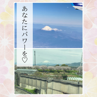 麻尋(まひろ)