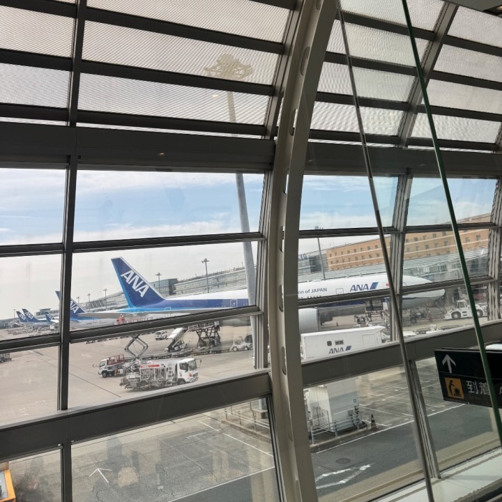 瑠美子(るみこ)