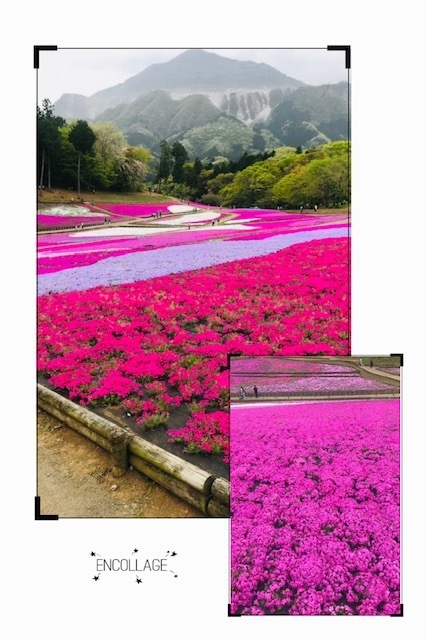 蓮音(れん)