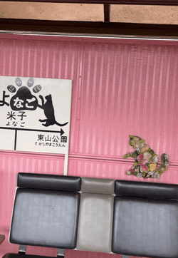 千秋(ちあき)