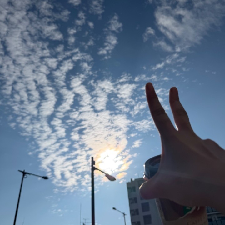 彩璃(さいり)
