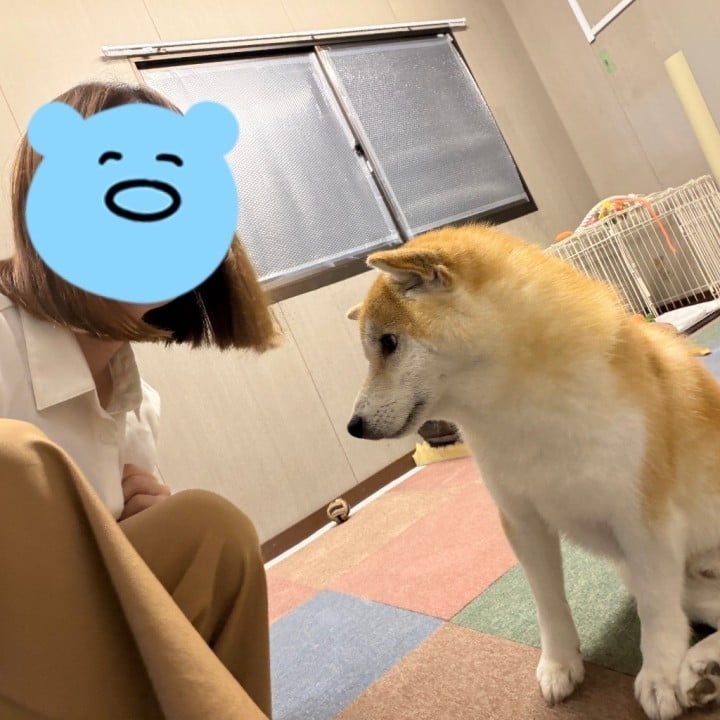露実(つゆみ)