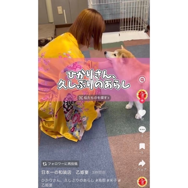 妃花里(ひかり)