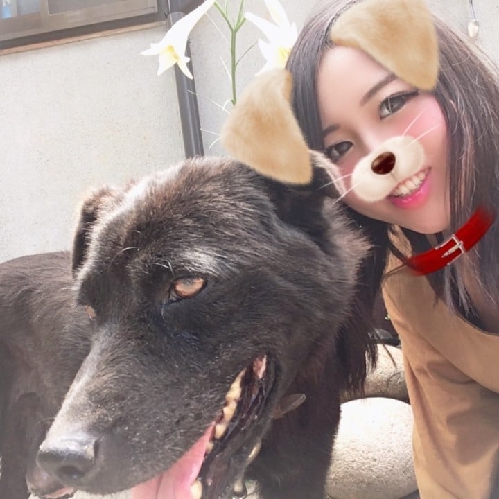 六花(りっか)