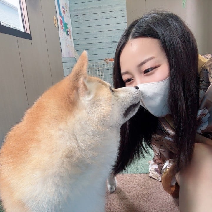 六花(りっか)