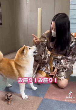 六花(りっか)