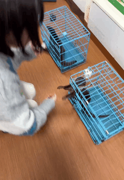 風羽(ふう)