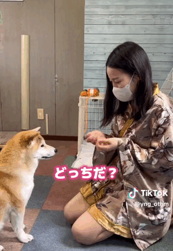 六花(りっか)