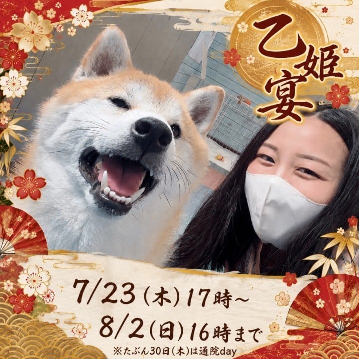 六花(りっか)