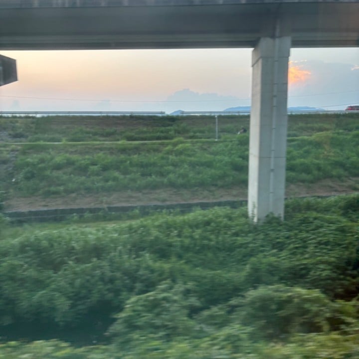 林檎(りんご)