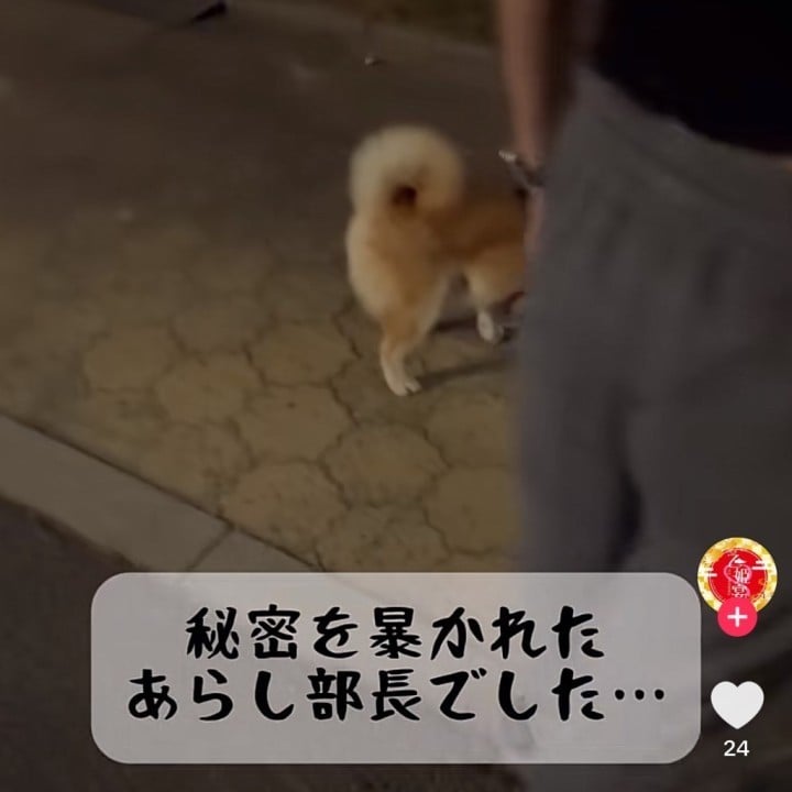紅魅(ぐみ)