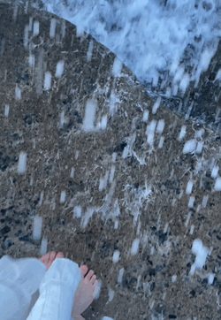 風羽(ふう)
