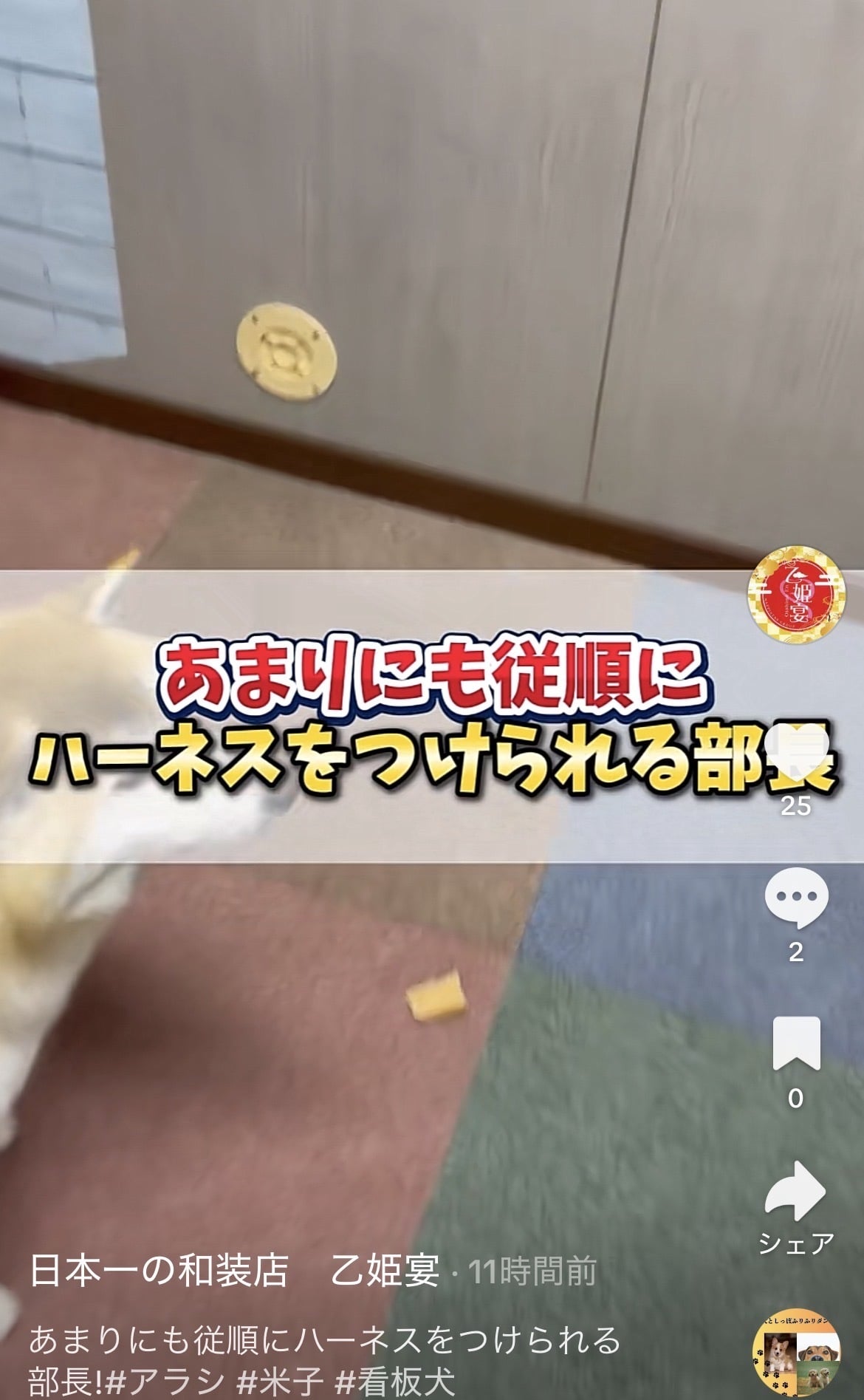 雛乃(ひなの)