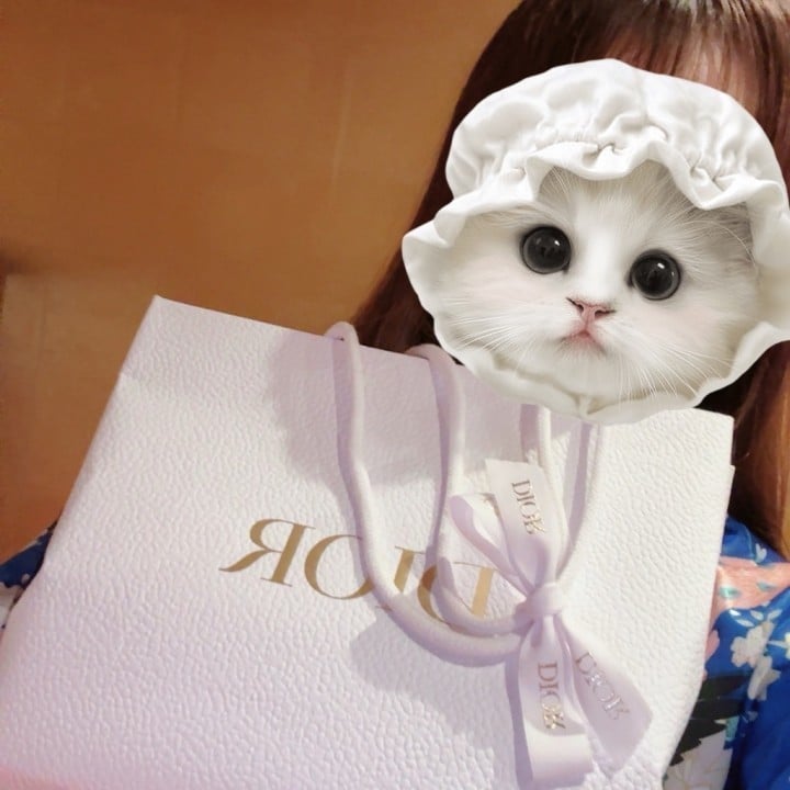 有帆(ありほ)