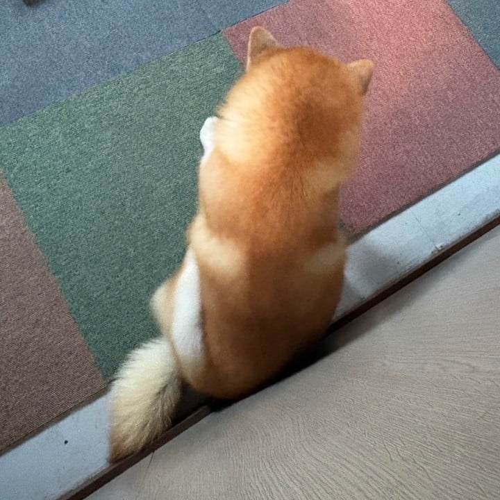 秋音(あきね)