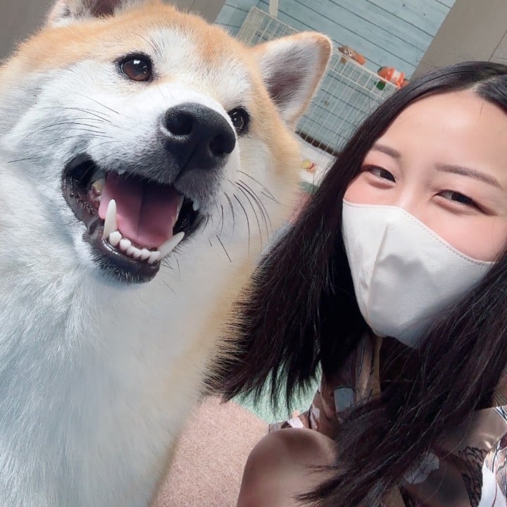 六花(りっか)